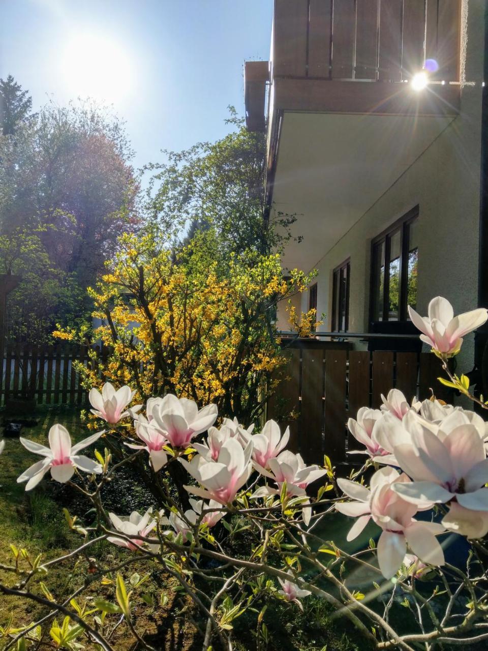 Hotel Am Wald 오토브룬 외부 사진